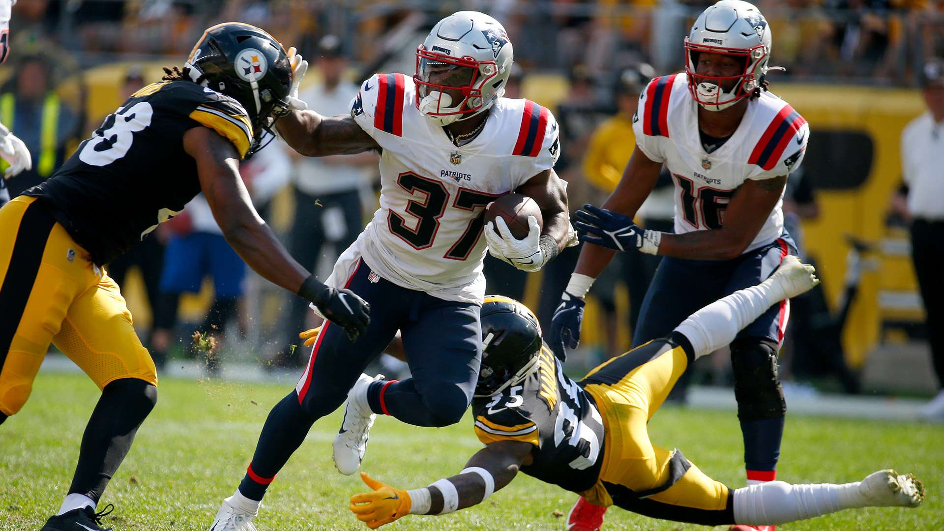 传承的见证 传承的见证